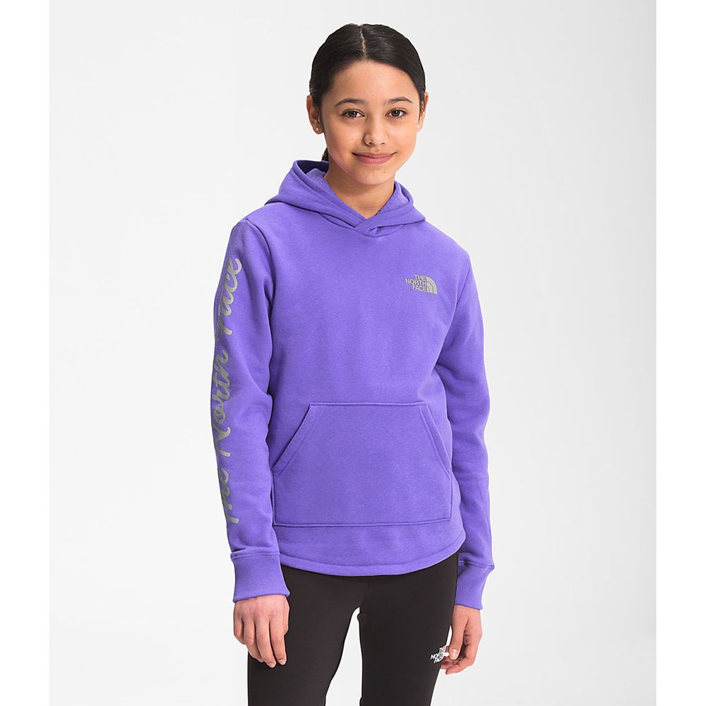 The North Face Hoodie Girls Australia - The North Face Camp Fleece Pullover Purple (MPT-586201)